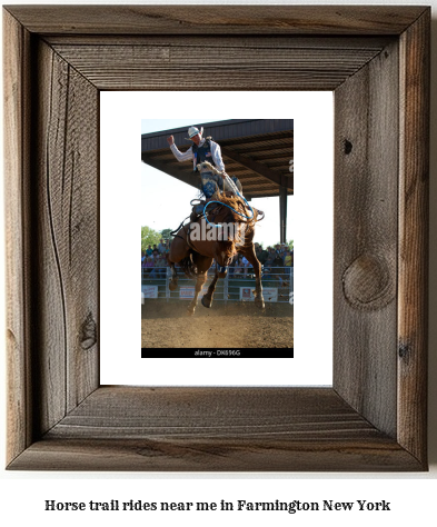 horse trail rides near me in Farmington, New York